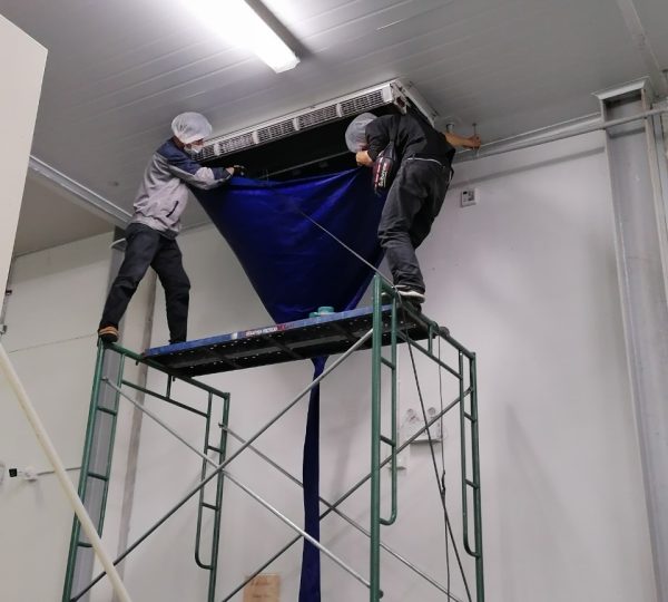 IMG_4717-1-1-1-1-1-1-1-1-1-1.jpeg